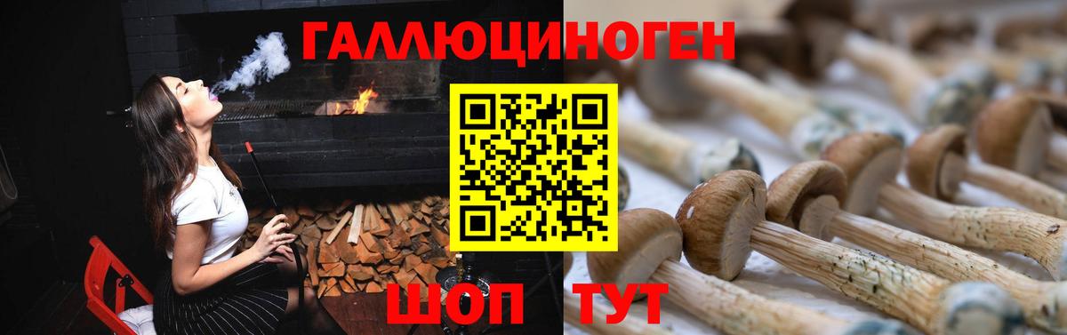 Псилоцибиновые грибы MAGIC MUSHROOMS Краснотурьинск